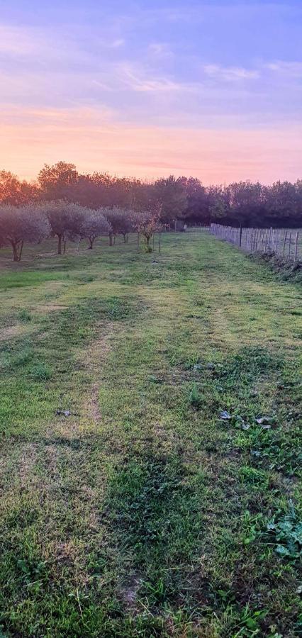Les Bonbonnettes Bed & Breakfast Le Cailar Bagian luar foto