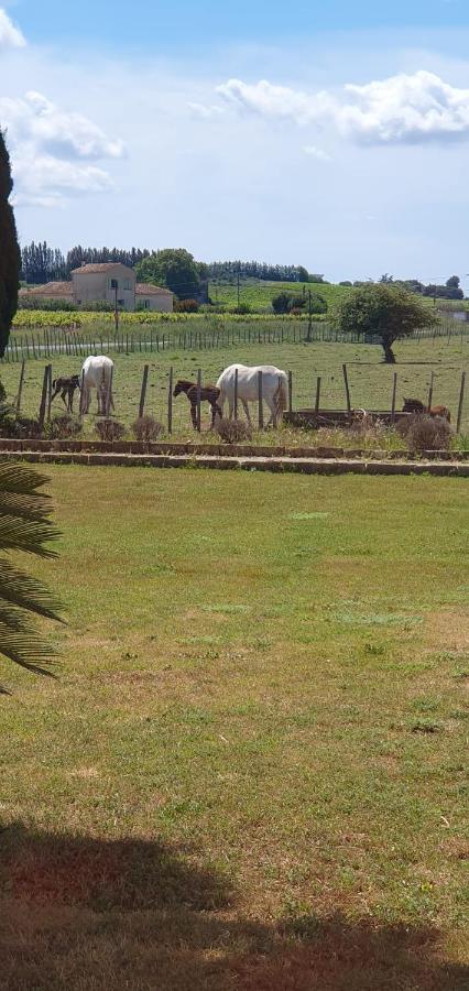 Les Bonbonnettes Bed & Breakfast Le Cailar Bagian luar foto