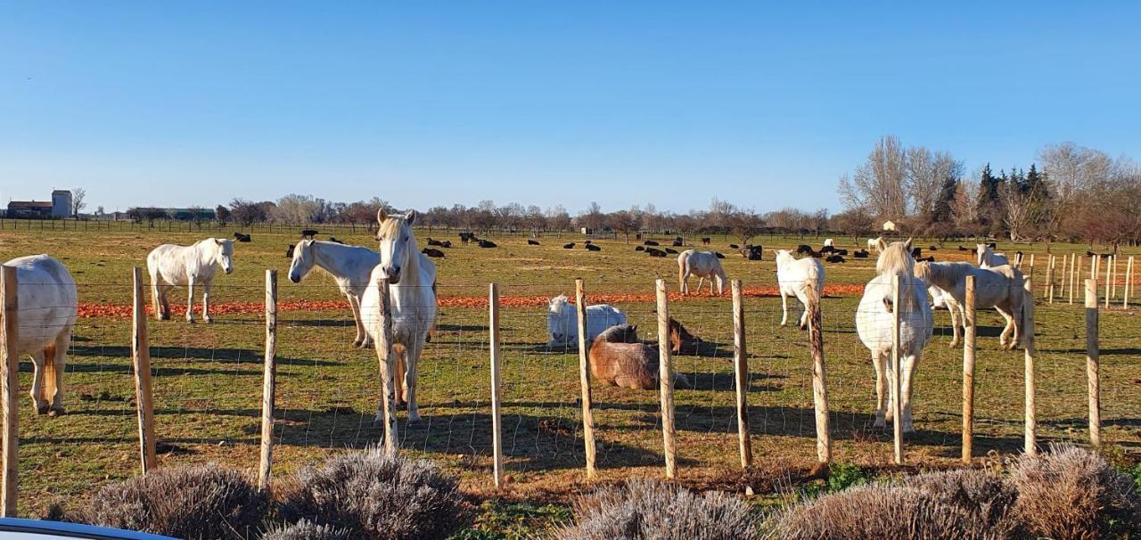 Les Bonbonnettes Bed & Breakfast Le Cailar Bagian luar foto