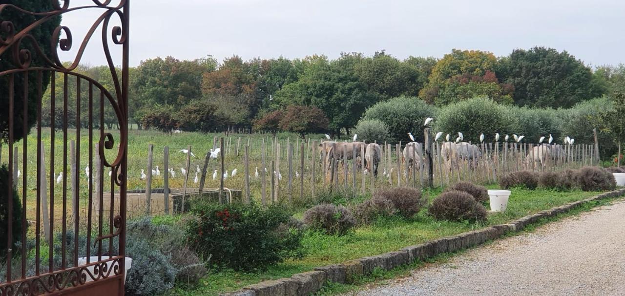Les Bonbonnettes Bed & Breakfast Le Cailar Bagian luar foto